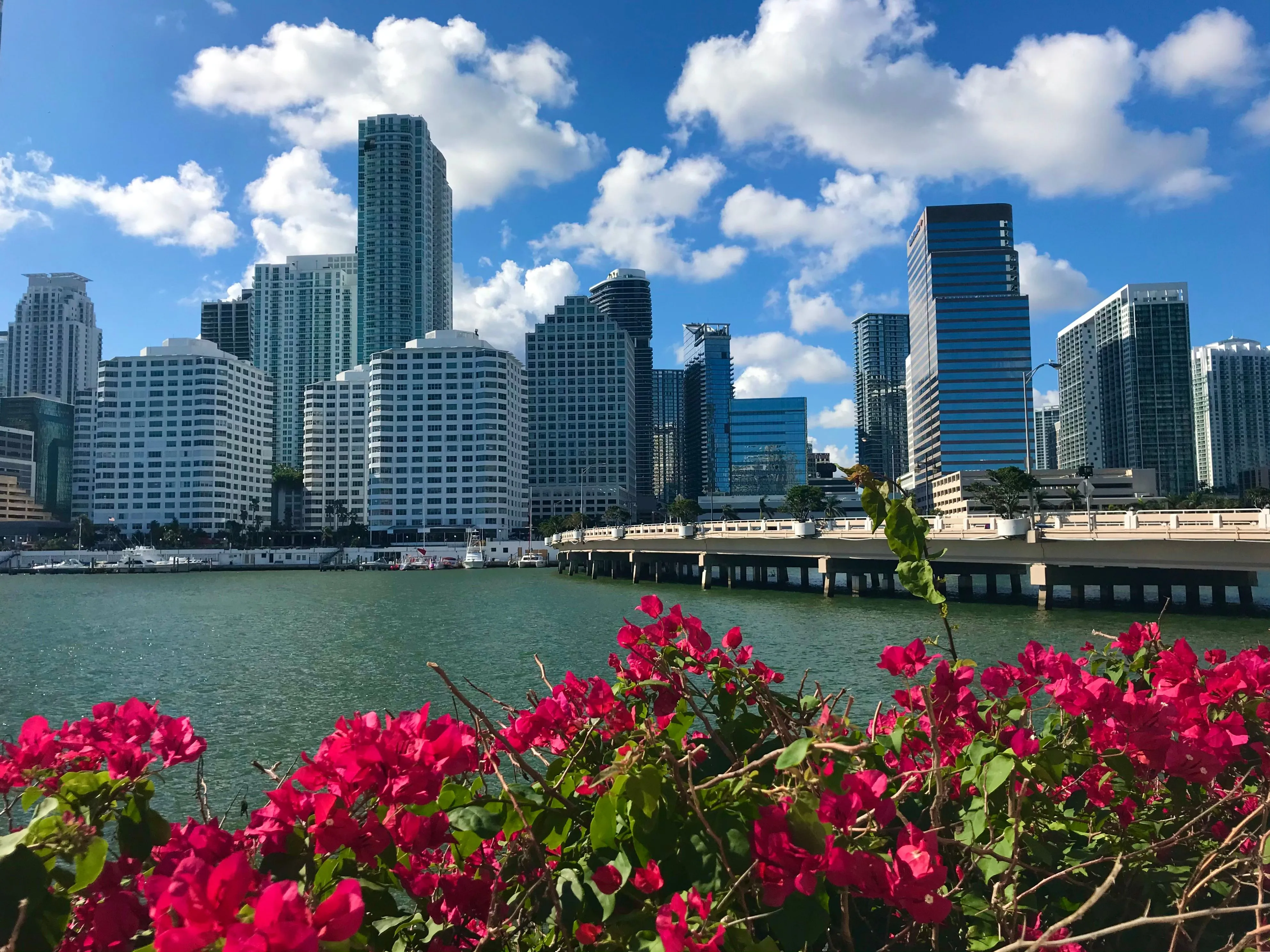 Brickell business district in Miami, where local companies compete for the top of Google search