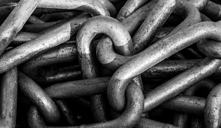 link building bogotá