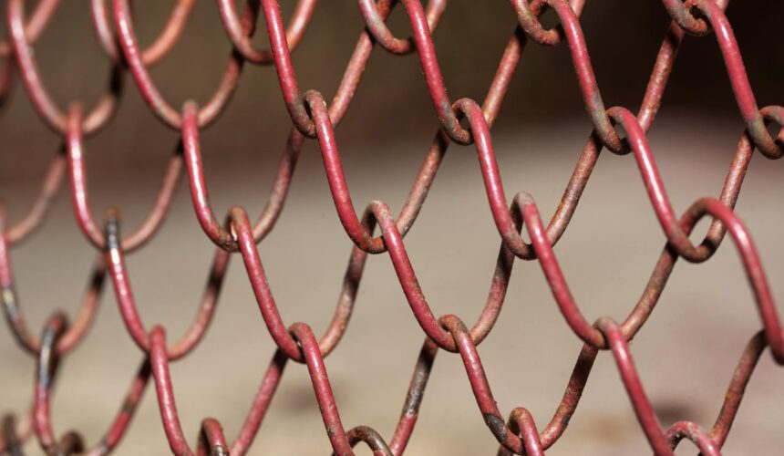 link building colombia