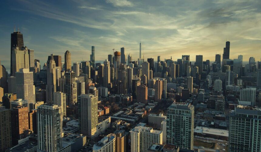 seo-little-village-chicago seo little village chicago